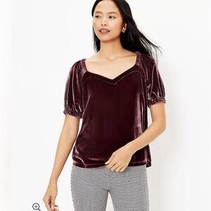 LOFT Velvet Puff Sleeve Blouse - Deep Burgundy